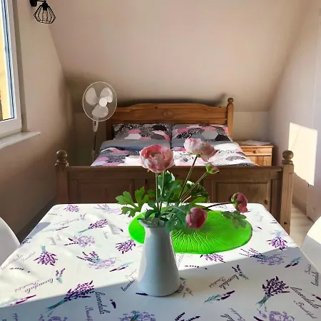 פארק נופש Przystan Rodzinna